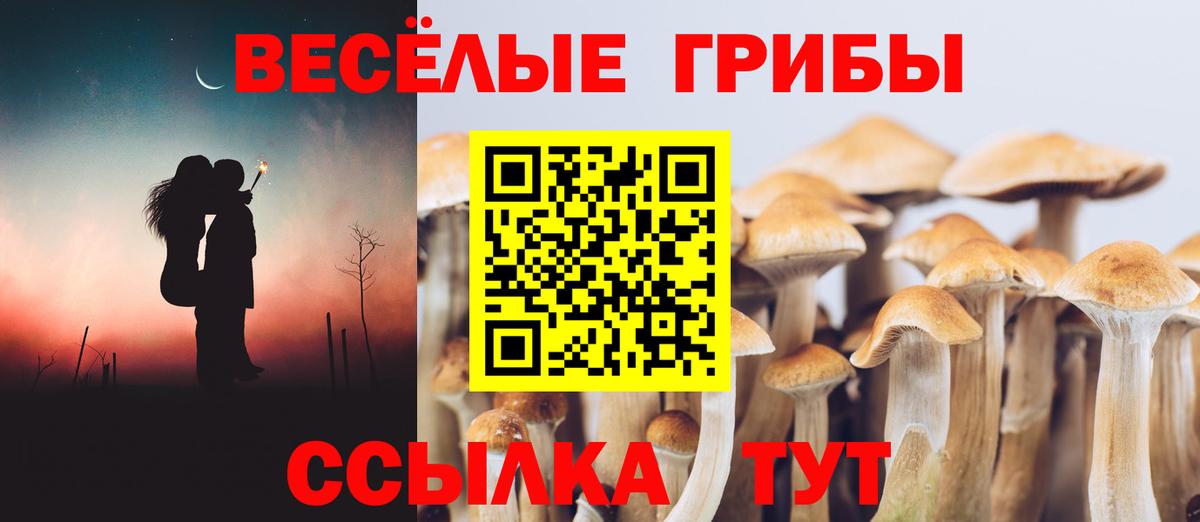 Галлюциногенные грибы Magic Shrooms Асбест